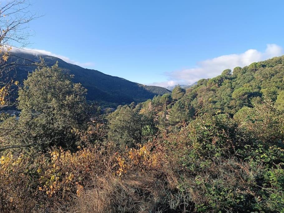 F2 Classe 3 Etoiles Vue Montagne, Exterieur Clos Arles-sur-Tech Exterior foto